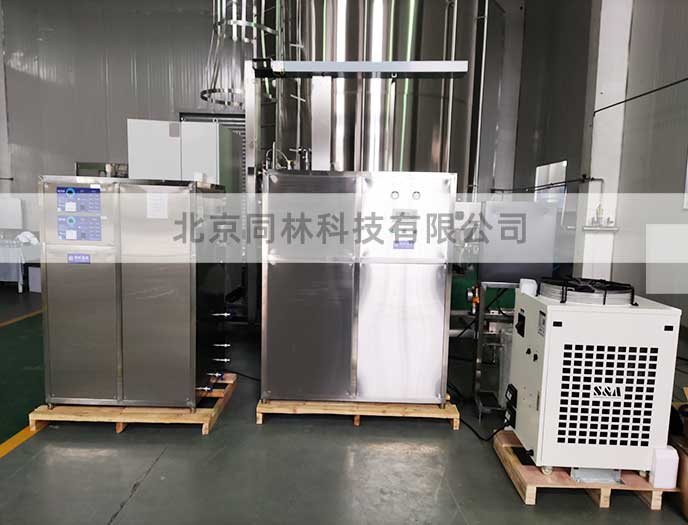 出口菲律賓200g臭氧發生器測試現場